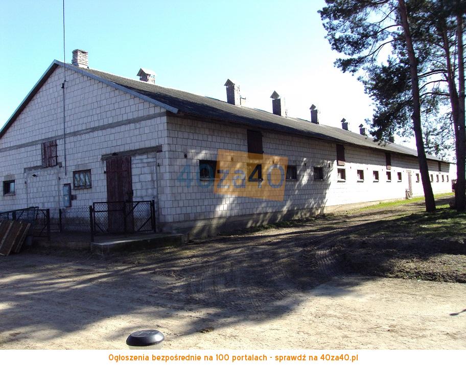 Działka na sprzedaż, 3600 m2, cena: 300 000,00 PLN, Dąbrowa Wielka, kontakt: 603703908