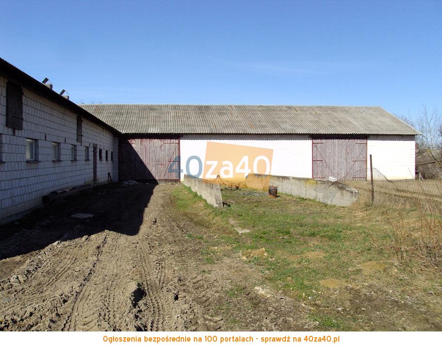 Działka na sprzedaż, 3600 m2, cena: 300 000,00 PLN, Dąbrowa Wielka, kontakt: 603703908