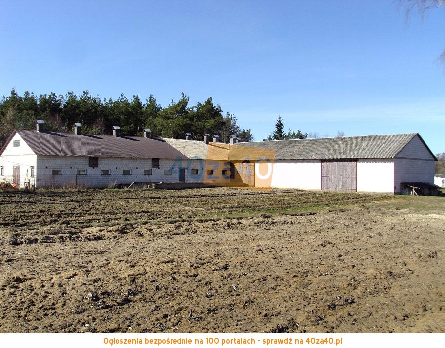 Działka na sprzedaż, 3600 m2, cena: 300 000,00 PLN, Dąbrowa Wielka, kontakt: 603703908