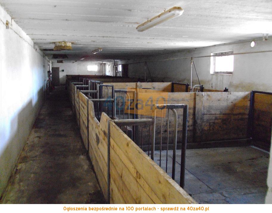 Działka na sprzedaż, 3600 m2, cena: 300 000,00 PLN, Dąbrowa Wielka, kontakt: 603703908