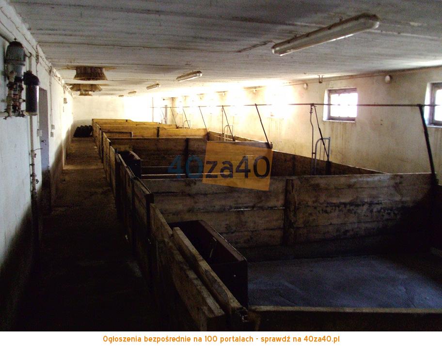Działka na sprzedaż, 3600 m2, cena: 300 000,00 PLN, Dąbrowa Wielka, kontakt: 603703908