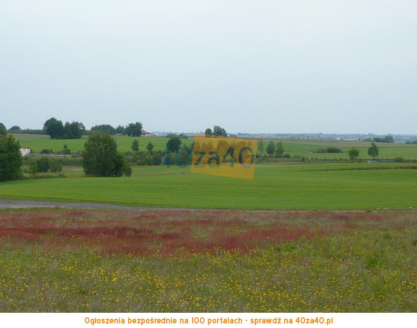 Działka na sprzedaż, 4042 m2, cena: 380 000,00 PLN, Przyjaźń, kontakt: 695-427-585