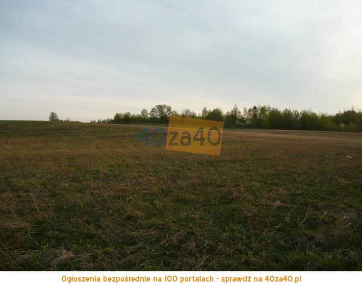Działka na sprzedaż, 4042 m2, cena: 380 000,00 PLN, Przyjaźń, kontakt: 695-427-585