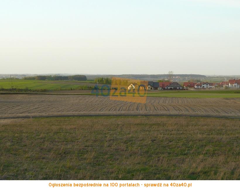 Działka na sprzedaż, 4042 m2, cena: 380 000,00 PLN, Przyjaźń, kontakt: 695-427-585