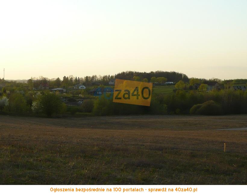 Działka na sprzedaż, 4042 m2, cena: 380 000,00 PLN, Przyjaźń, kontakt: 695-427-585