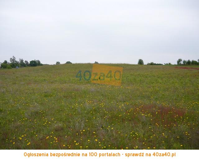 Działka na sprzedaż, 4042 m2, cena: 380 000,00 PLN, Przyjaźń, kontakt: 695-427-585