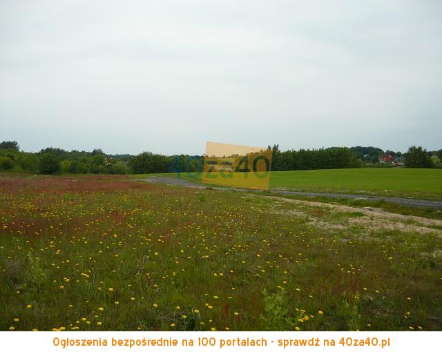Działka na sprzedaż, 4042 m2, cena: 380 000,00 PLN, Przyjaźń, kontakt: 695-427-585
