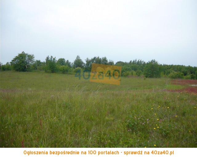 Działka na sprzedaż, 4042 m2, cena: 380 000,00 PLN, Przyjaźń, kontakt: 695-427-585