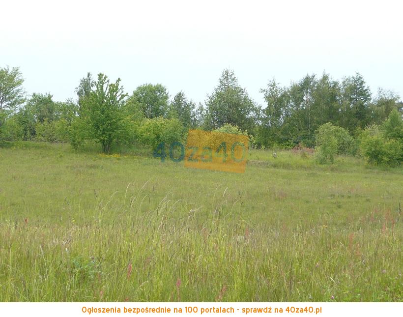 Działka na sprzedaż, 4042 m2, cena: 380 000,00 PLN, Przyjaźń, kontakt: 695-427-585