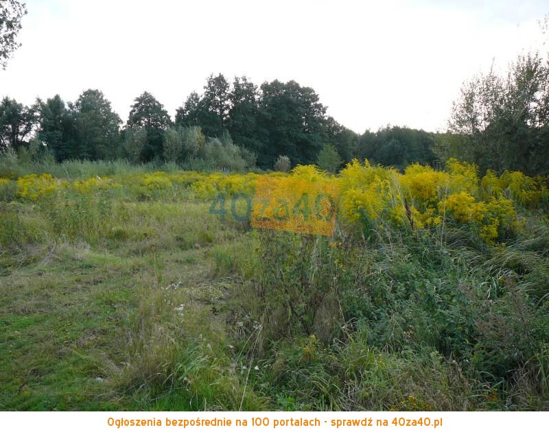 Działka na sprzedaż, 4300 m2, cena: 329 000,00 PLN, Nadarzyn, kontakt: 790 751 257