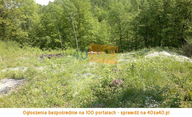 Działka na sprzedaż, 4600 m2, cena: 230 000,00 PLN, Kazimierz Dolny, kontakt: 000000000