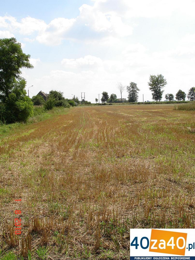 Działka na sprzedaż, 5000 m2, cena: 80 000,00 PLN, Bieganowo, kontakt: 606 703 374