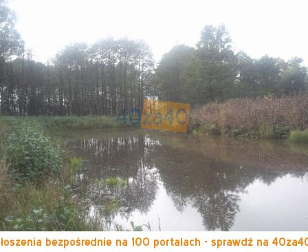 Działka na sprzedaż, 50000 m2, cena: 750 000,00 PLN, Zajezierce, kontakt: 601 917 480