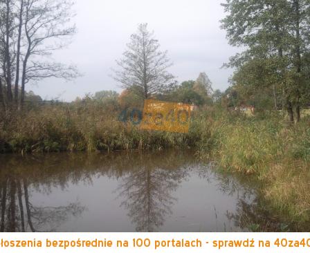 Działka na sprzedaż, 50000 m2, cena: 750 000,00 PLN, Zajezierce, kontakt: 601 917 480