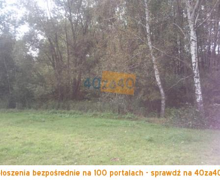 Działka na sprzedaż, 50000 m2, cena: 750 000,00 PLN, Zajezierce, kontakt: 601 917 480