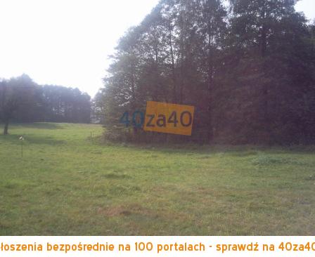 Działka na sprzedaż, 50000 m2, cena: 750 000,00 PLN, Zajezierce, kontakt: 601 917 480