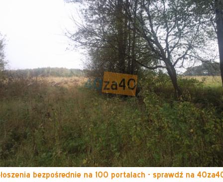 Działka na sprzedaż, 50000 m2, cena: 750 000,00 PLN, Zajezierce, kontakt: 601 917 480