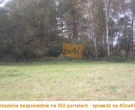 Działka na sprzedaż, 50000 m2, cena: 750 000,00 PLN, Zajezierce, kontakt: 601 917 480