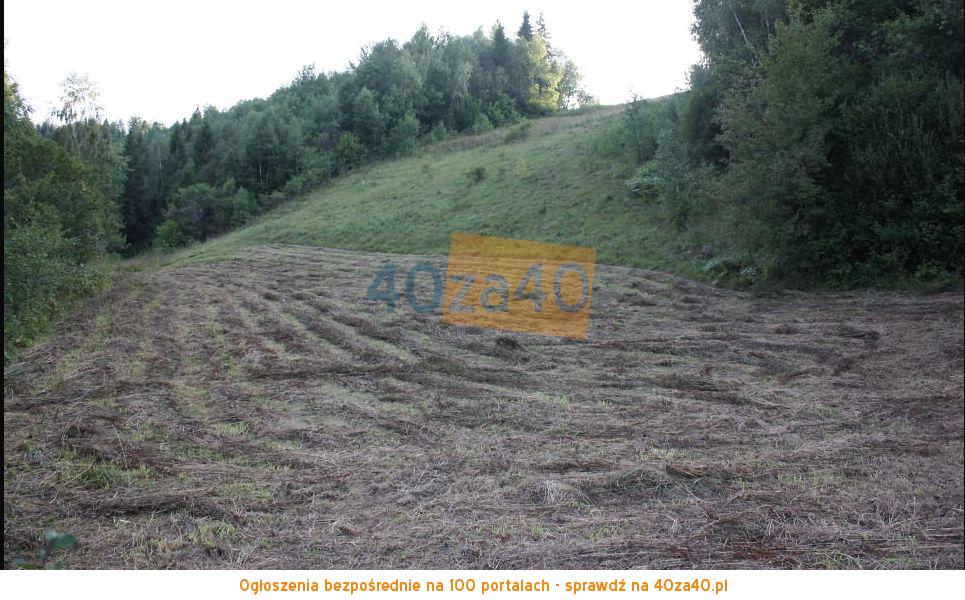 Działka na sprzedaż, 5900 m2, cena: 80 000,00 PLN, Ochotnica Dolna, kontakt: 781326541