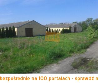 Działka na sprzedaż, 61200 m2, cena: 2 500 000,00 PLN, Czaplin, kontakt: 600 391 984