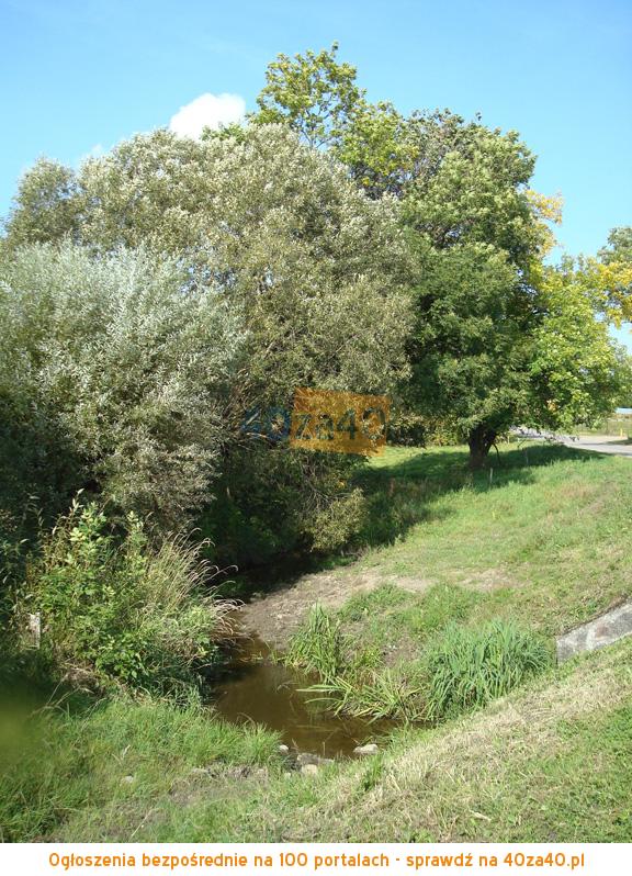 Działka na sprzedaż, 6300 m2, cena: 99 000,00 PLN, Węgielsztyn, kontakt: 518 620 482
