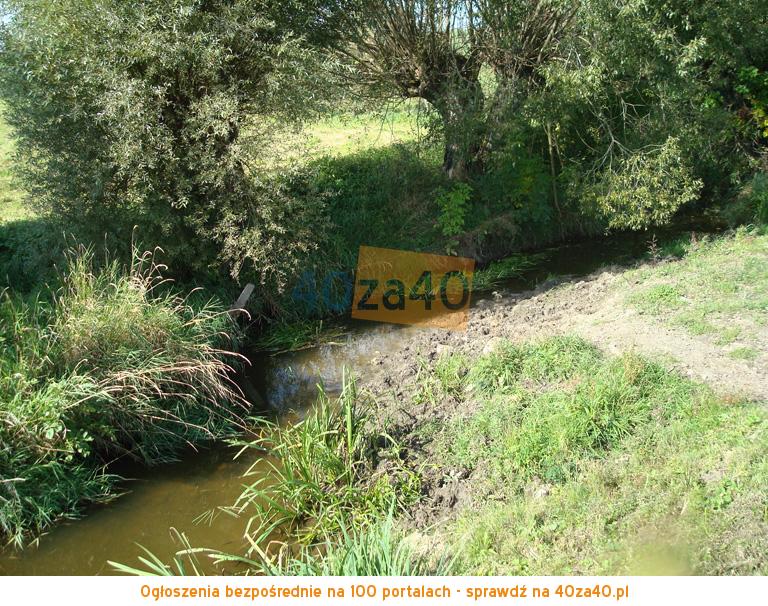 Działka na sprzedaż, 6300 m2, cena: 99 000,00 PLN, Węgielsztyn, kontakt: 518 620 482
