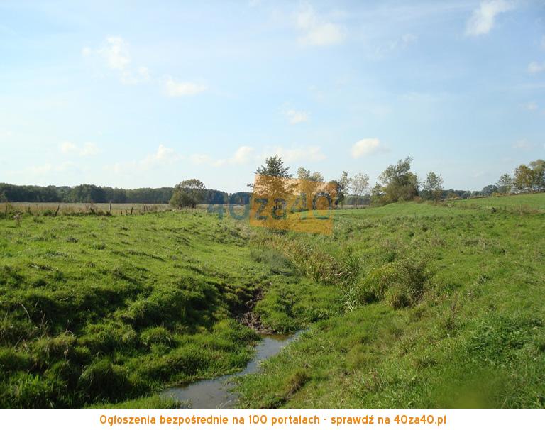 Działka na sprzedaż, 6300 m2, cena: 99 000,00 PLN, Węgielsztyn, kontakt: 518 620 482