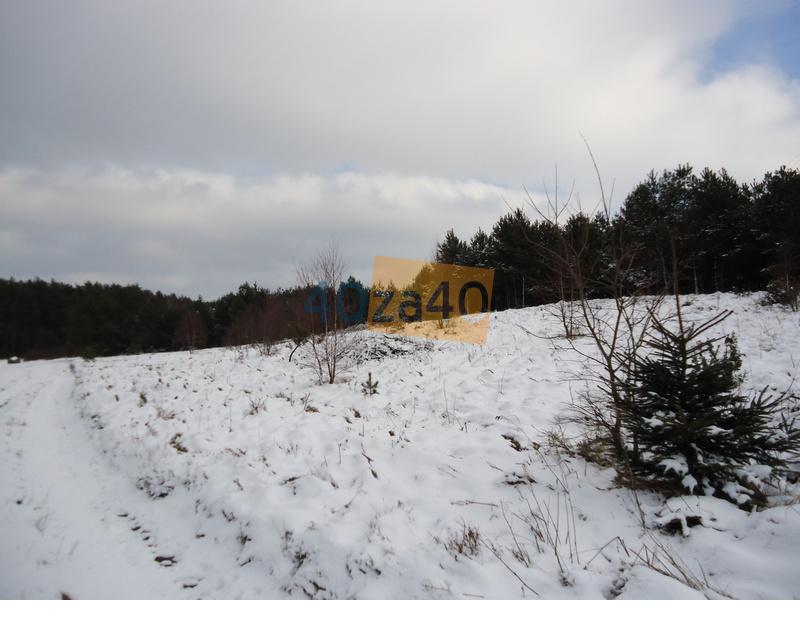 Działka na sprzedaż, 64428 m2, cena: 250 000,00 PLN, Zakrzewo, kontakt: PL +48 606 131 882