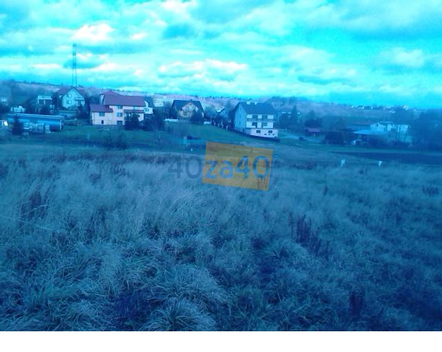 Działka na sprzedaż, 6600 m2, cena: 536 000,00 PLN, Tomaszowice, kontakt: 606603159