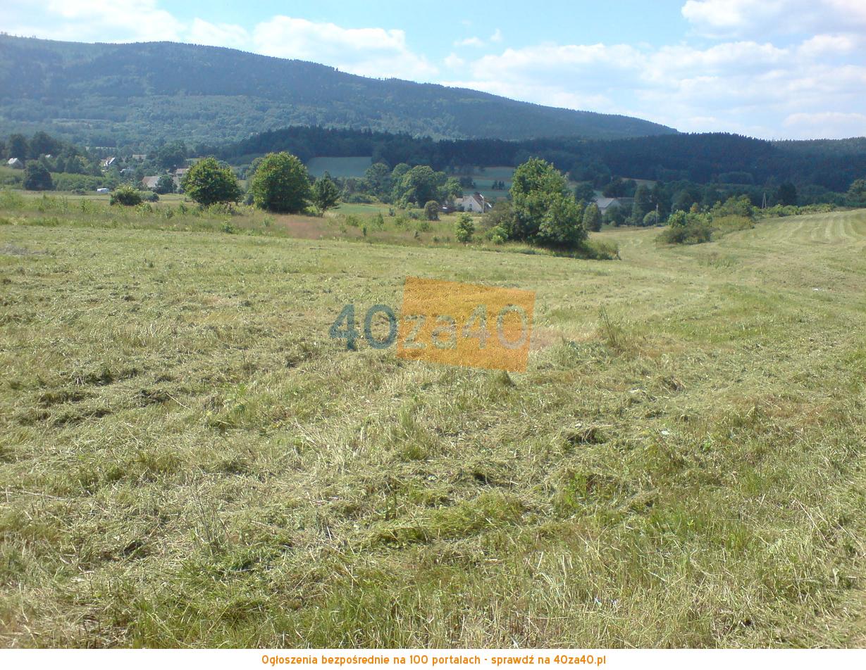 Działka na sprzedaż, 7100 m2, cena: 77 000,00 PLN, Wyszki, kontakt: 607484816