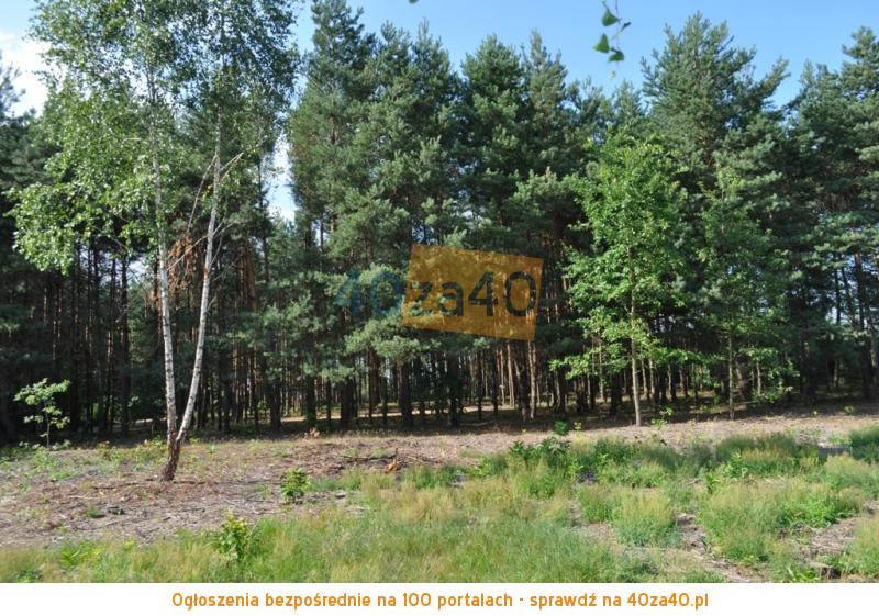 Działka na sprzedaż, 812 m2, cena: 45 000,00 PLN, Osieczek, kontakt: 606620907