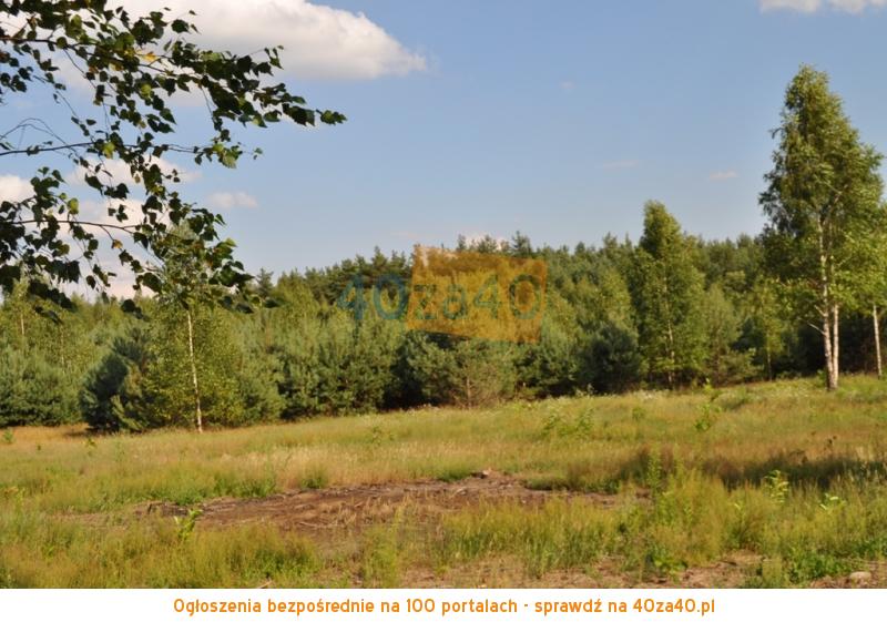 Działka na sprzedaż, 812 m2, cena: 45 000,00 PLN, Osieczek, kontakt: 606620907