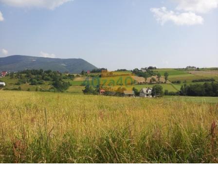 Działka na sprzedaż, 8400 m2, cena: 197 000,00 PLN, Krasne Potockie, kontakt: 696550677