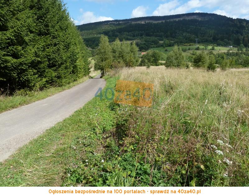 Działka na sprzedaż, 91000 m2, cena: 420 000,00 PLN, Sokolec, kontakt: 74 872 45 90