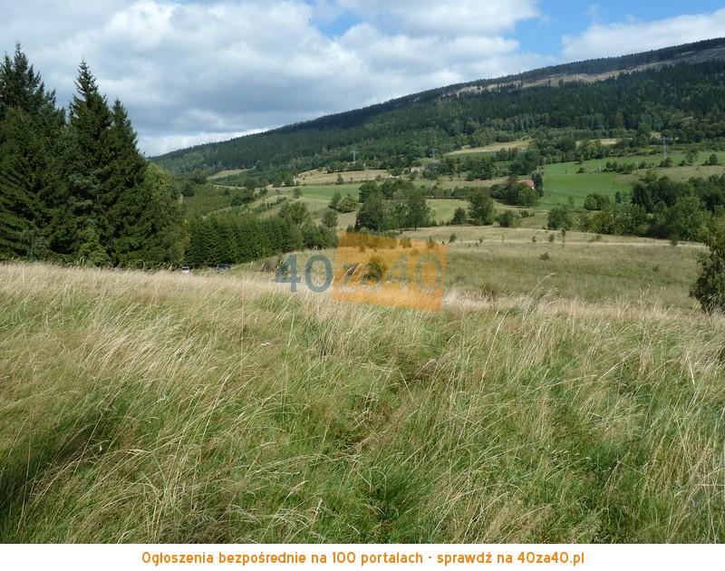 Działka na sprzedaż, 91000 m2, cena: 420 000,00 PLN, Sokolec, kontakt: 74 872 45 90
