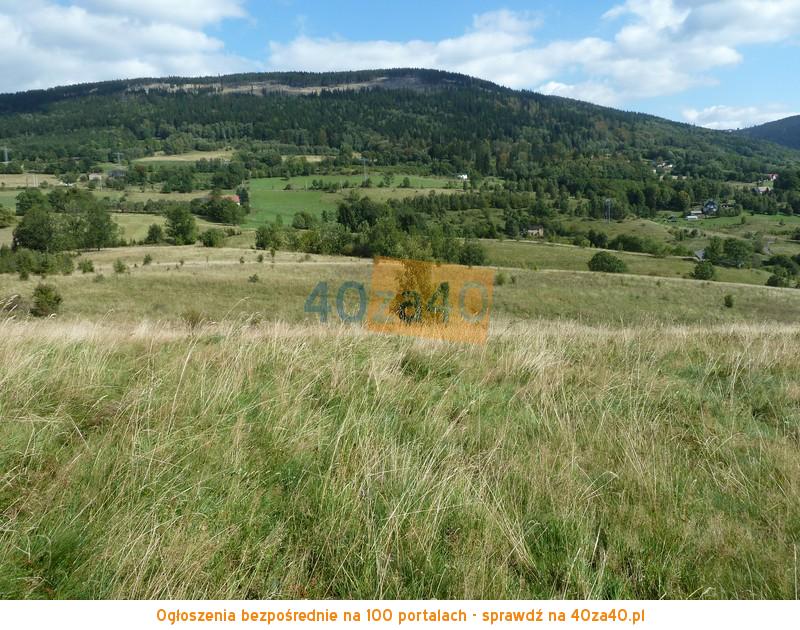 Działka na sprzedaż, 91000 m2, cena: 420 000,00 PLN, Sokolec, kontakt: 74 872 45 90