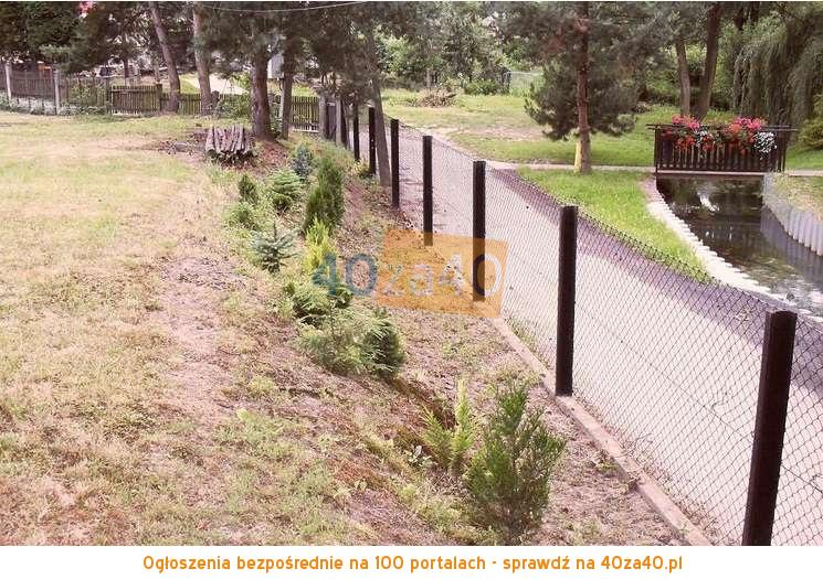 Działka na sprzedaż, 930 m2, cena: 48 000,00 PLN, Zabełków, kontakt: 796 168 628