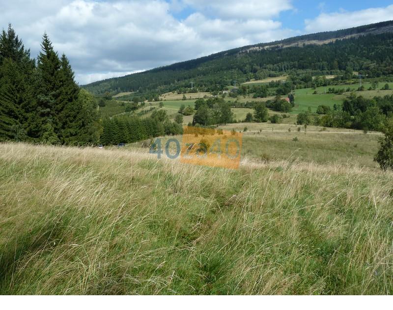 Działka na sprzedaż, 94000 m2, cena: 340 000,00 PLN, Sokolec, kontakt: 74 871 81 31