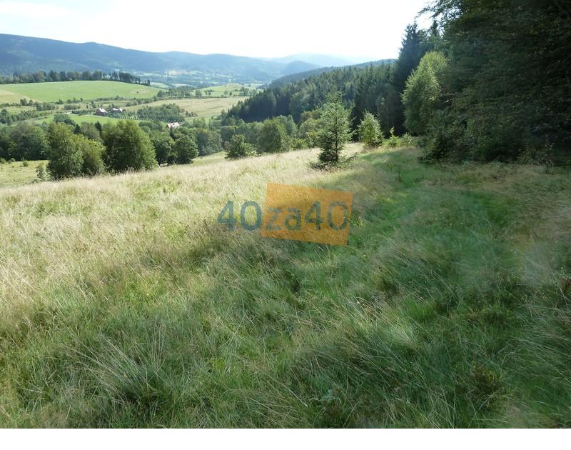 Działka na sprzedaż, 94000 m2, cena: 340 000,00 PLN, Sokolec, kontakt: 74 871 81 31