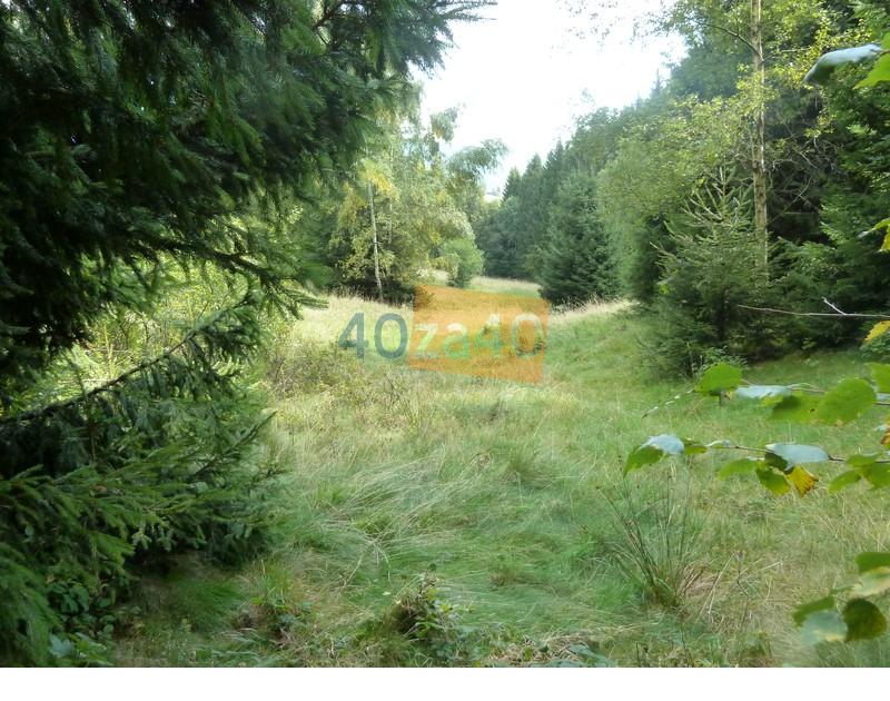 Działka na sprzedaż, 94000 m2, cena: 340 000,00 PLN, Sokolec, kontakt: 74 871 81 31