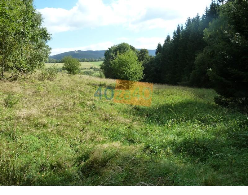 Działka na sprzedaż, 94000 m2, cena: 340 000,00 PLN, Sokolec, kontakt: 74 871 81 31