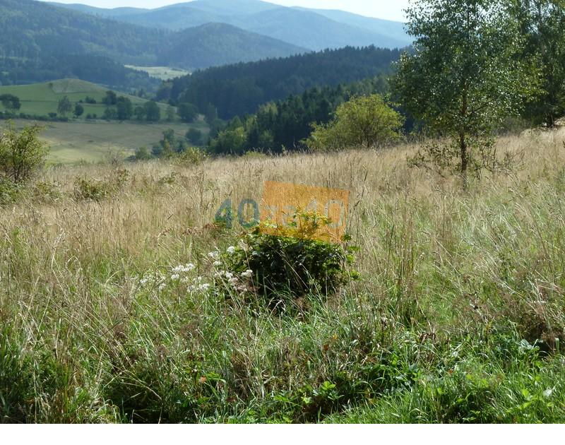 Działka na sprzedaż, 94000 m2, cena: 340 000,00 PLN, Sokolec, kontakt: 74 871 81 31