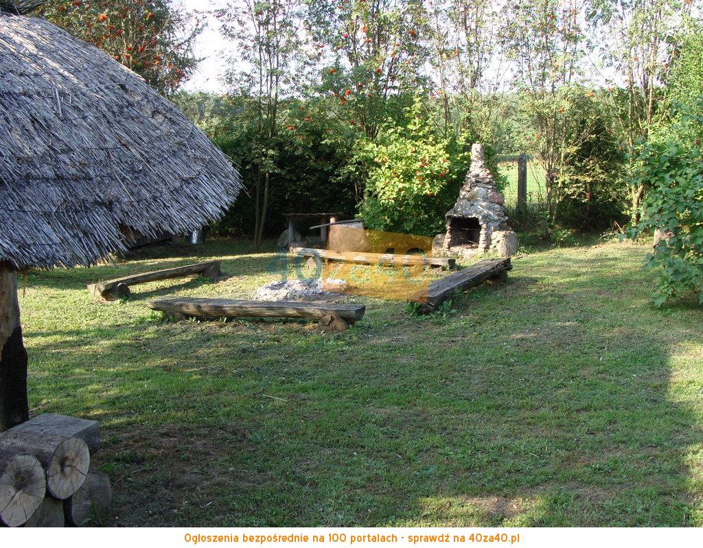 Działka na sprzedaż, 9900 m2, cena: 139 000,00 PLN, Pracze, kontakt: 609559306