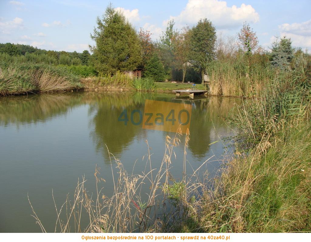 Działka na sprzedaż, 9900 m2, cena: 139 000,00 PLN, Pracze, kontakt: 609559306