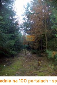 Działka na sprzedaż, 9951 m2, cena: 130 000,00 PLN, Dankowice Trzecie, kontakt: 604231420