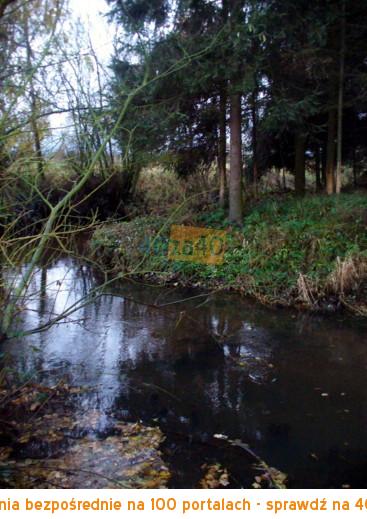 Działka na sprzedaż, 9951 m2, cena: 130 000,00 PLN, Dankowice Trzecie, kontakt: 604231420