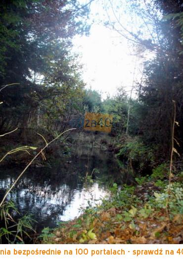 Działka na sprzedaż, 9951 m2, cena: 130 000,00 PLN, Dankowice Trzecie, kontakt: 604231420