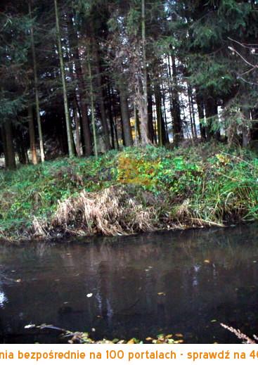 Działka na sprzedaż, 9951 m2, cena: 130 000,00 PLN, Dankowice Trzecie, kontakt: 604231420