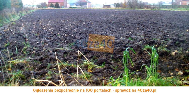 Działka na sprzedaż, 9951 m2, cena: 130 000,00 PLN, Dankowice Trzecie, kontakt: 604231420