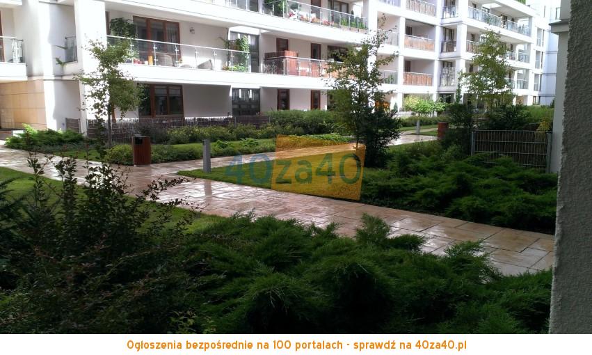 Lokal do wynajęcia, cena: 1 500,00 PLN, Warszawa, kontakt: 667-401-728